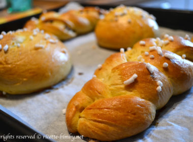 Pan Brioche di Montersino Bimby