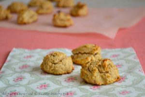Biscotti integrali bimby