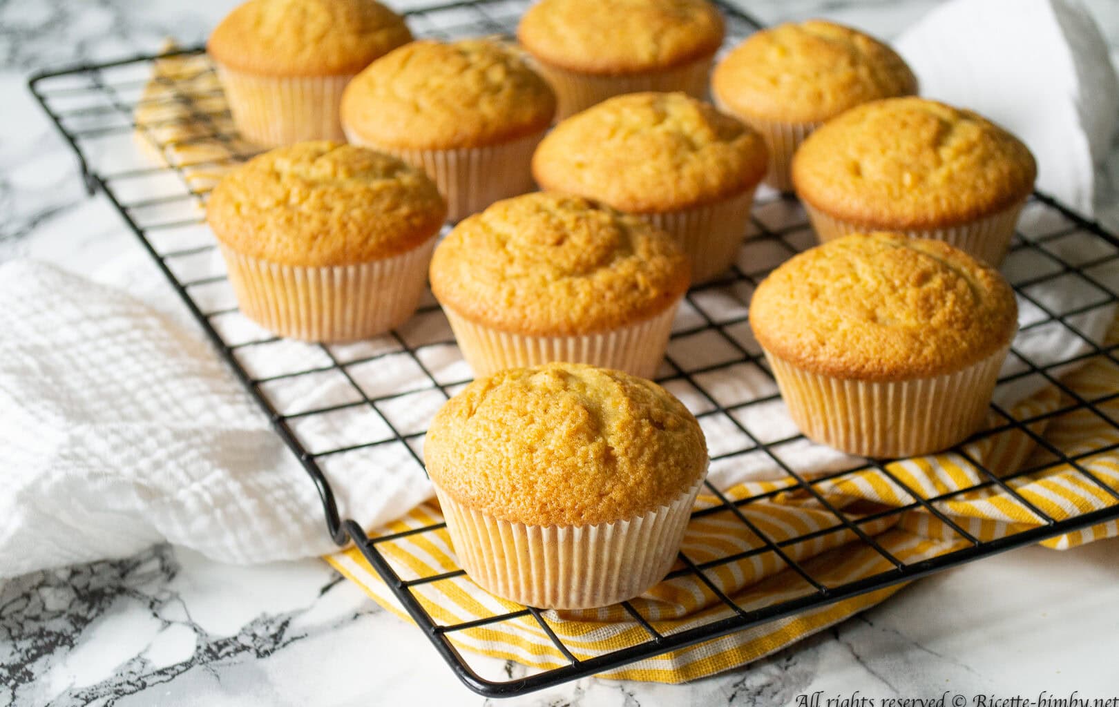 Muffin alla zucca Bimby
