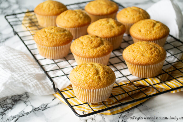 Muffin alla zucca Bimby