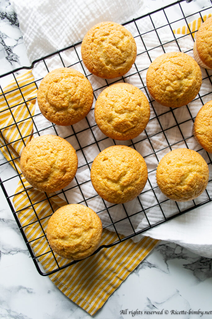Muffin alla zucca bimby