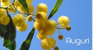 Festa della Donna e piccoli aggiornamenti