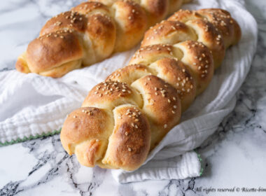 Treccine di pan brioche salate Bimby