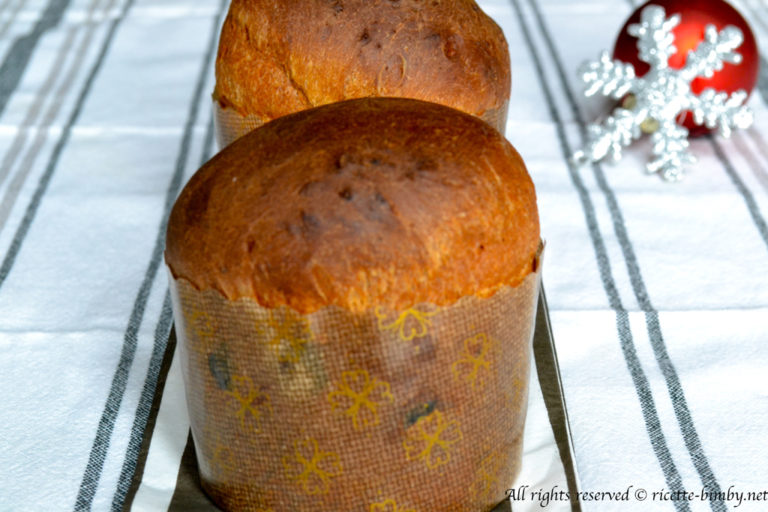 Panettoncini Bimby