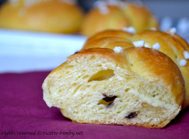 Pan Brioche di Montersino Bimby