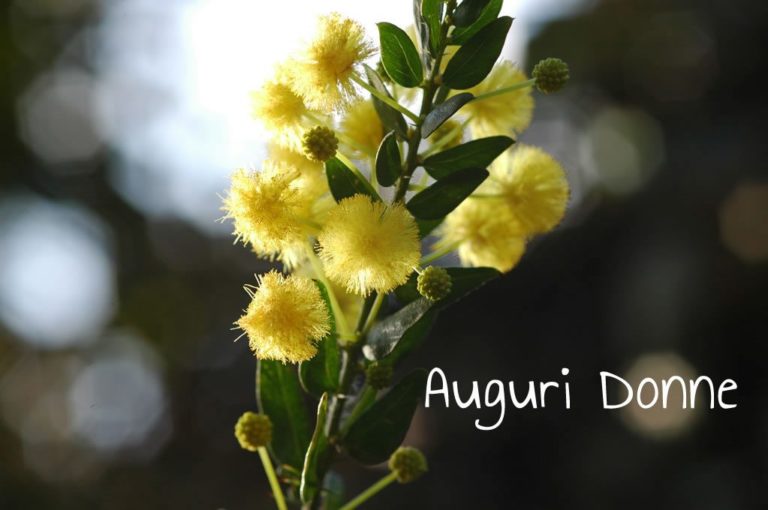 Auguri a tutte le Donne da Ricette-Bimby