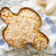 Colomba Pasquale Veloce Bimby