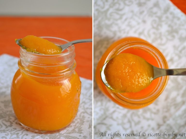 Ketchup di zucca Bimby