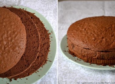 Pan di Spagna al cacao Bimby
