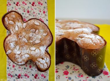 Colomba di Pasqua senza glutine Bimby