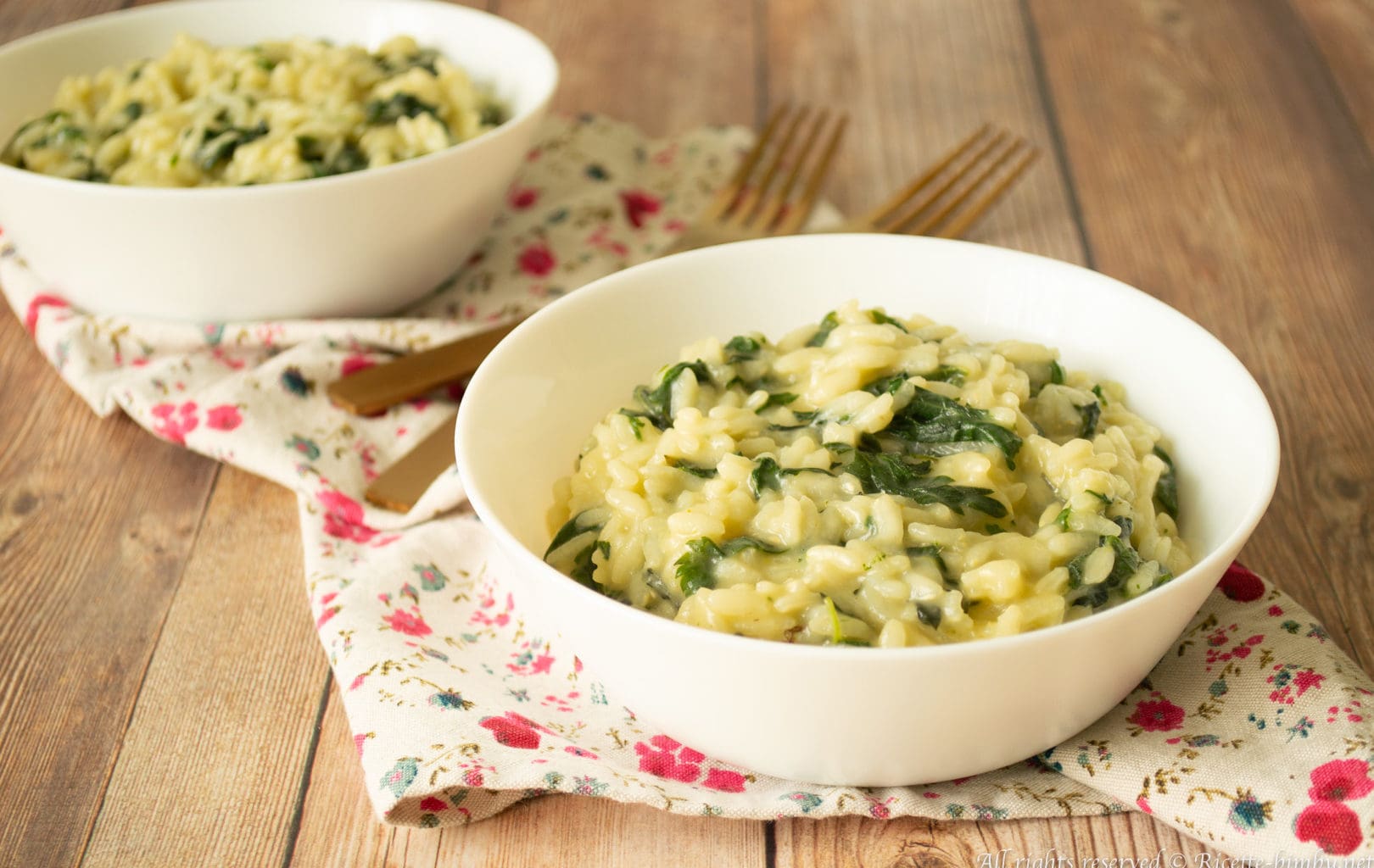 Risotto all'ortica Bimby