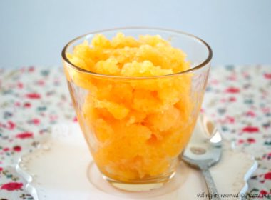 Sorbetto alla frutta Bimby