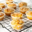 Muffin salati ai funghi Bimby