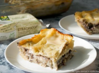 Lasagne porri e radicchio Bimby