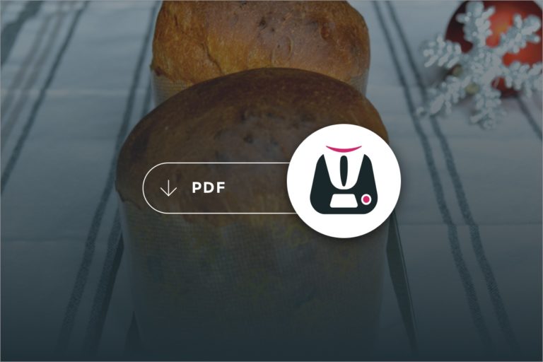 Pdf Dolci di Natale 2011 Bimby