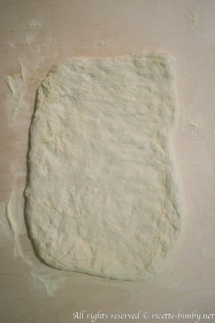 Impasto Per Pizza In Teglia Bimby Ricette Bimby