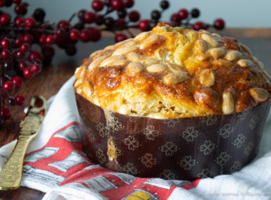 Panettone salato veloce Bimby