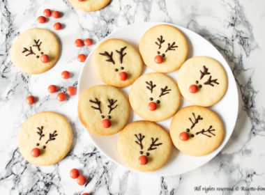 Biscotti di Natale a forma di renna Bimby