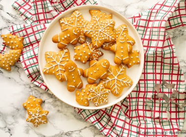 Biscotti pan di zenzero Bimby